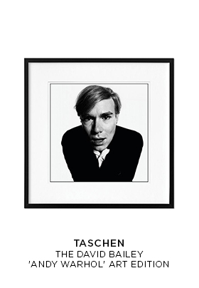 Taschen David Bailey Andry Warhol Art Edition book